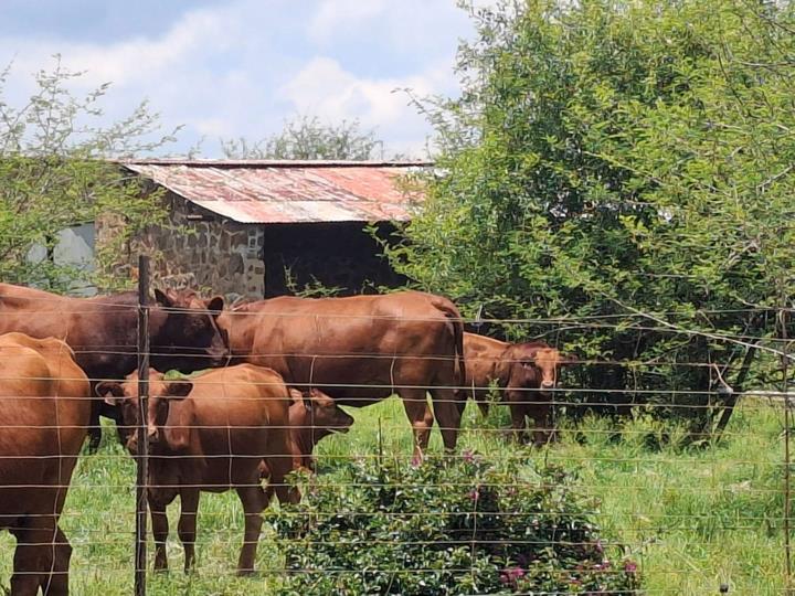 Farm for sale in Rustenburg Rural - P24-116806968