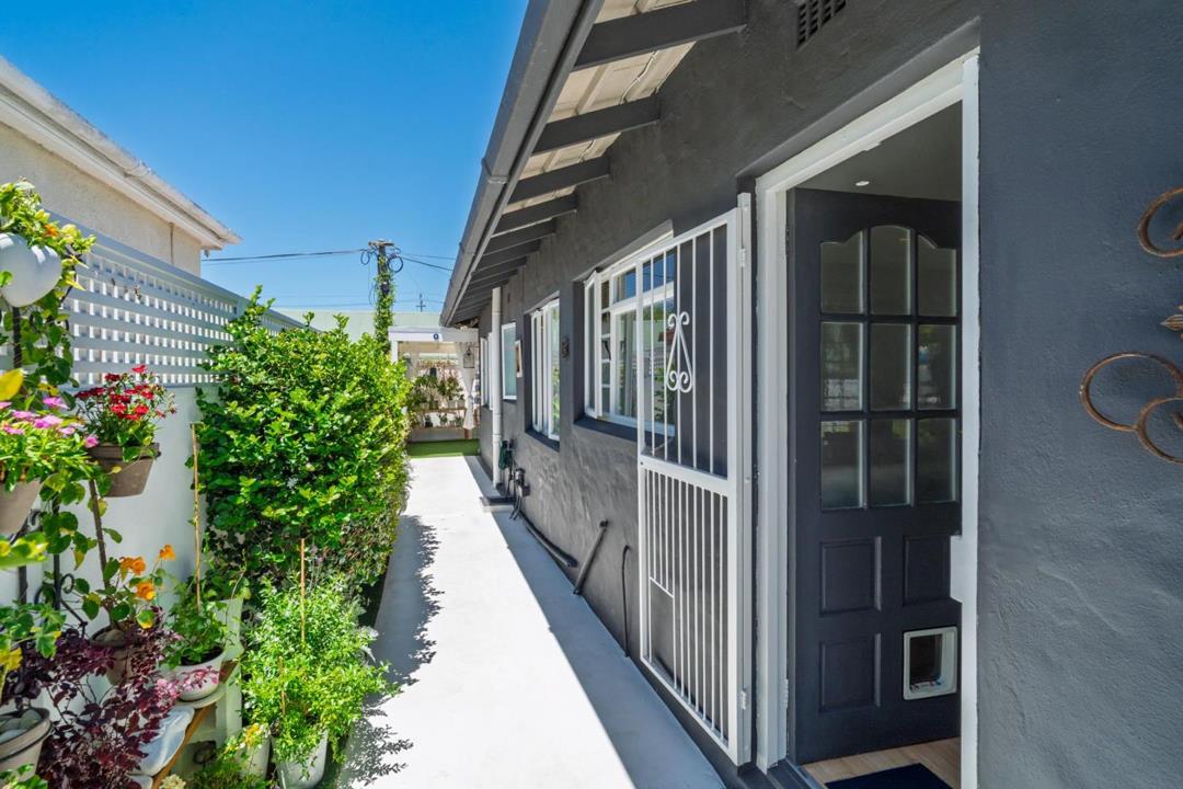 Side entrance pathway of the dark grey rendered house showing an ornate white security gate over a panelled front door with a pet flap, flanked by a lush planted border with climbing vines and colourful flowering pot pla