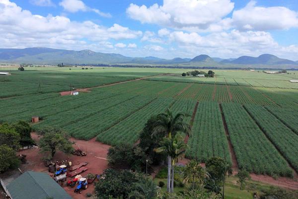 Farm for Sale in Malelane