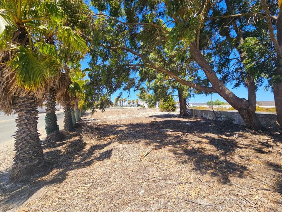 Listing number: P24-116853288, Image number: 1, Image