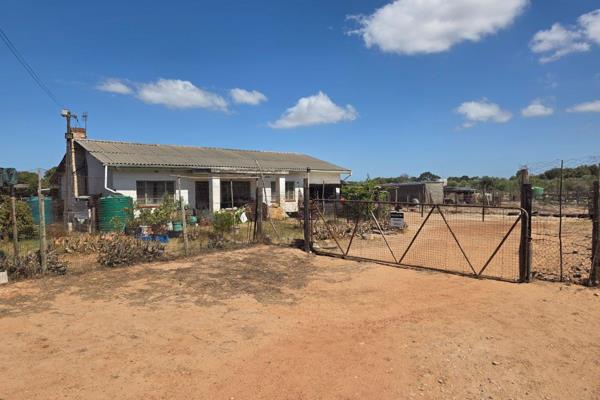 Property Features: 

85 Hectares of prime flat land.
Spacious 4 - Bedroom farmhouse.
Separate 1 - Bedroom cottage.
Large storeroom ...