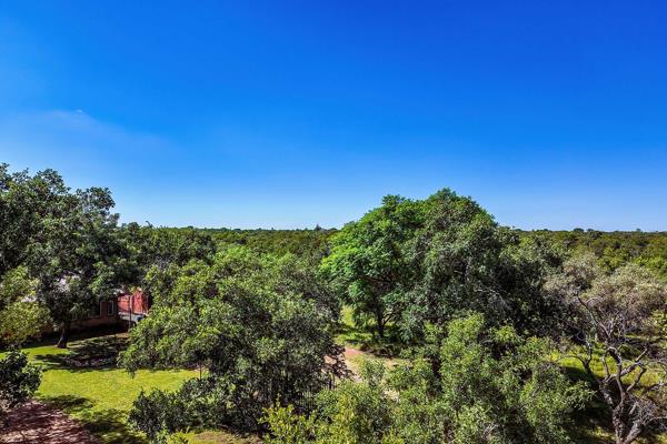 Small Holding for Sale – Portion 59, Farm 115 Kromdraai, Tshwane
This well-located eight-hectare small holding is situated between the ...