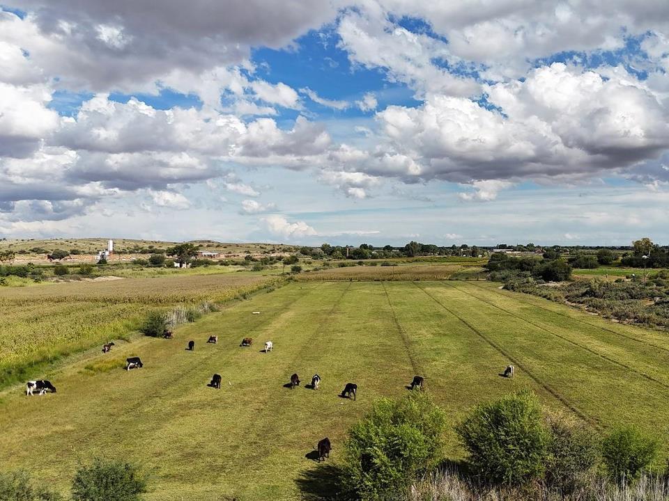 Farm for sale in Upington Rural - P24-116889113