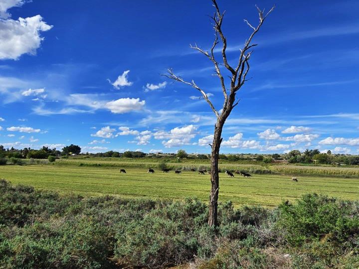farm-for-sale-in-upington-rural-p24-116889113