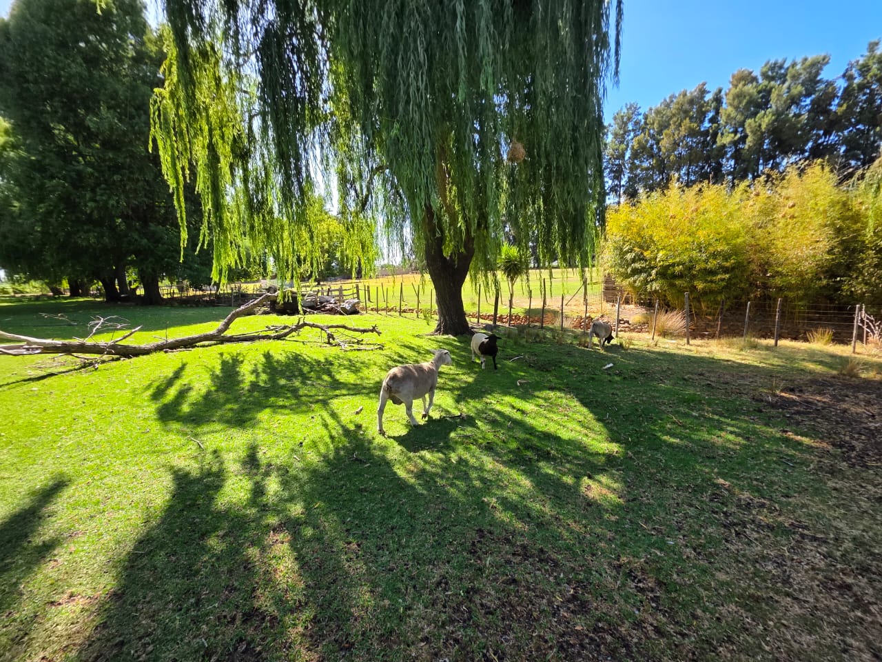 Farm for sale in Rawsonville - P24-116903694