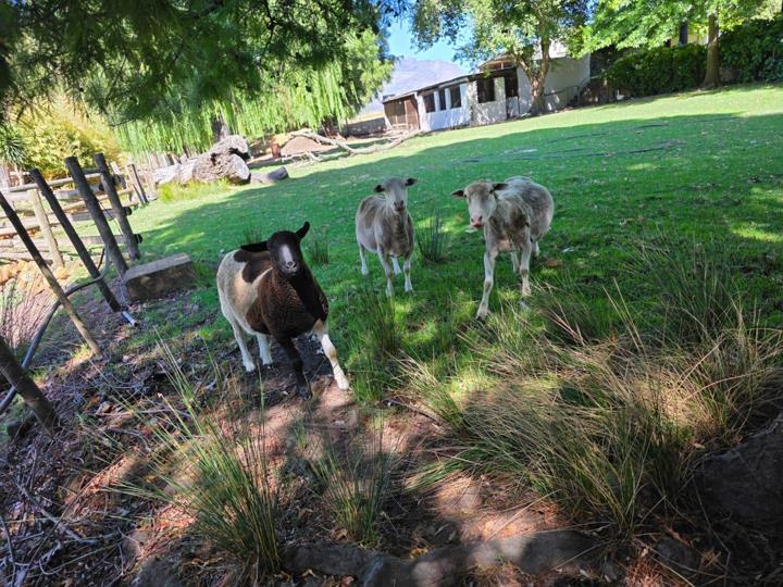 Farm for sale in Rawsonville - P24-116903694