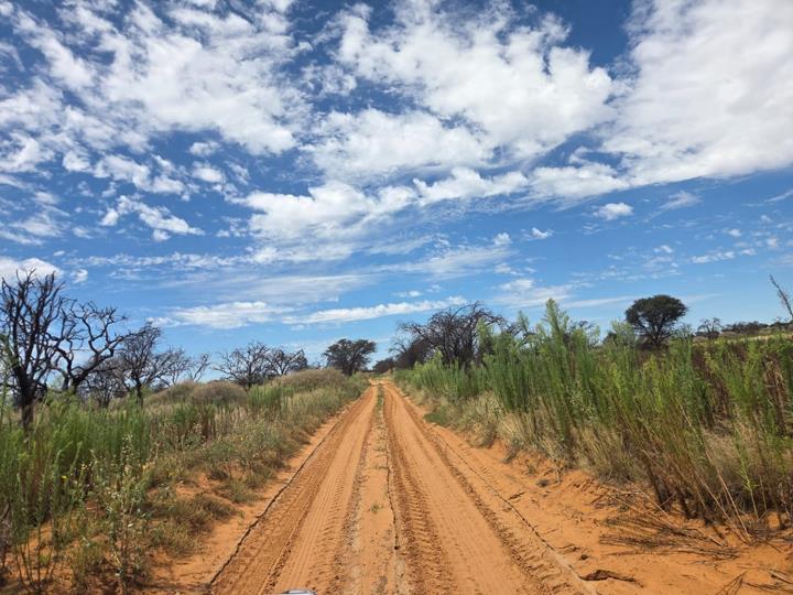 Farm for sale in Jacobsdal Rural - P24-116922150