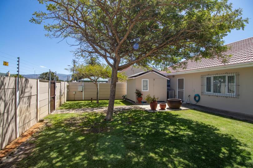 Rear garden view featuring a large mature shade tree on a well-kept green lawn, decorative terracotta potted planters on a small paved patio beside the house, a precast concrete perimeter wall to the left, and a small ou