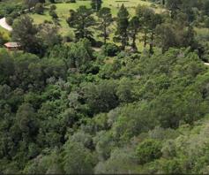 Farm for sale in Wilderness Heights