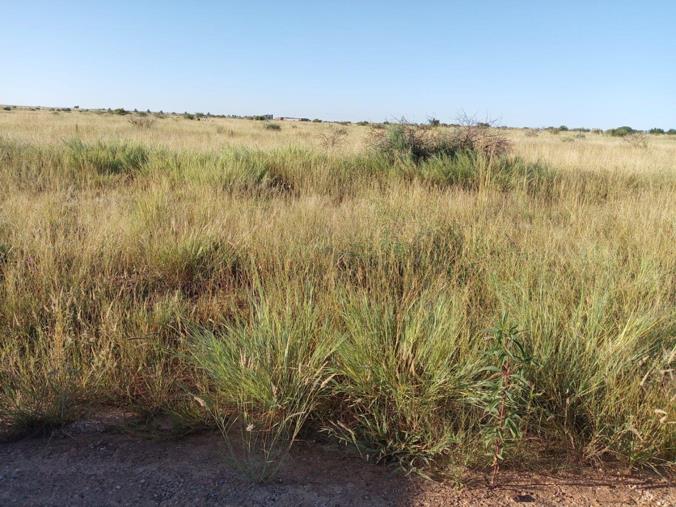 Vacant Land / Plot for Sale in Huhudi