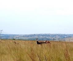 Farm for sale in Witbank Rural