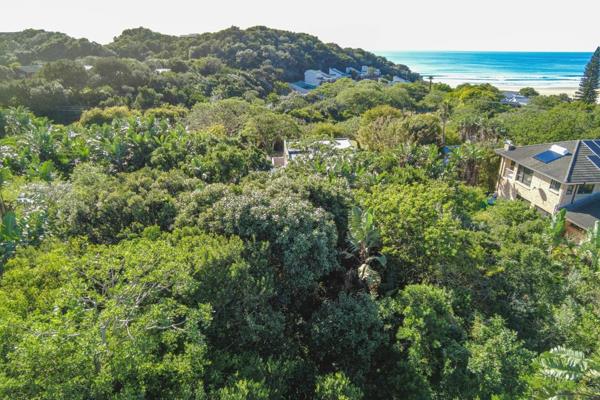 The "Luxury Lifestyle" Listing

Elevated Coastal Living: Prime 785 m² ...