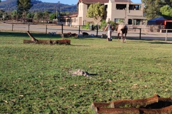 This well-known landmark equestrian property offers an exceptional opportunity for those seeking a lifestyle farm, equine facility, or ...