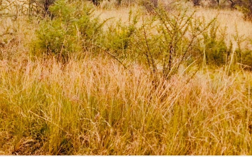 Vacant land / plot for sale in Mabopane Unit M - P24-117017310