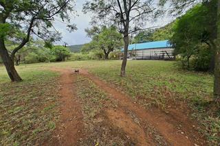 Thumbnail 63
