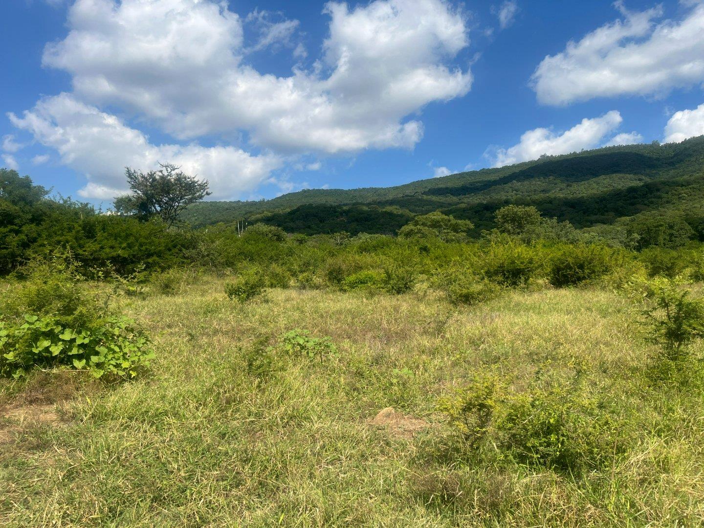 Vacant land / plot for sale in Tzaneen Rural - P24-109436683