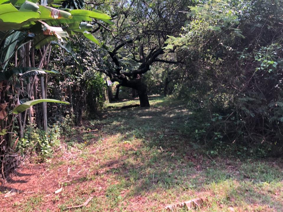 Vacant land / plot for sale in Nelspruit Central - 2 Kingston Vale - Nelspruit