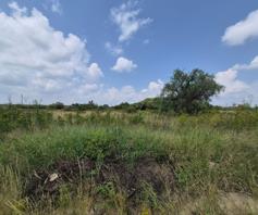 Vacant Land / Plot for sale in Magna Via Industrial