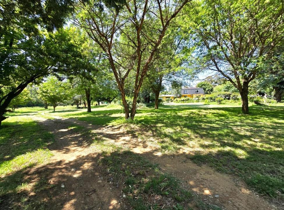 Listing number: P24-117084354, Image number: 1