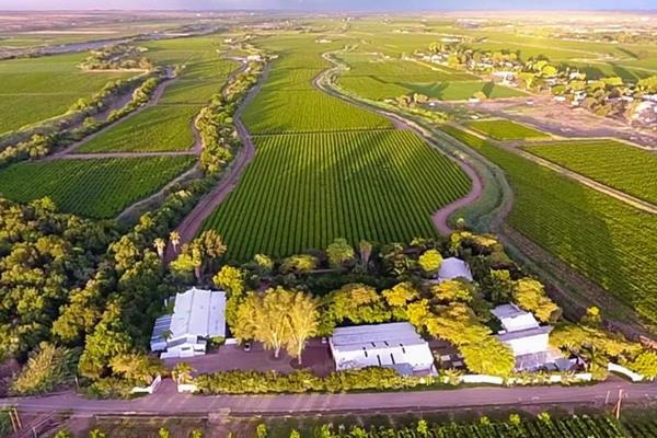 14 Bedroom Farm for Sale in Kanoneiland