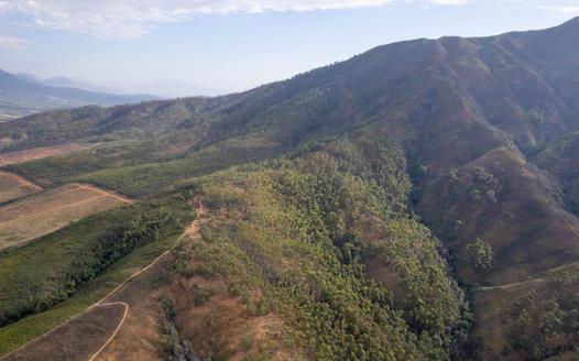 Farm for sale in Wellington Rural