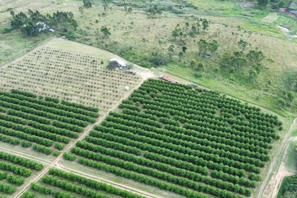 Farm for Sale in White River Rural