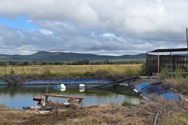 5 Bedroom Farm for Sale in Mookgopong Rural