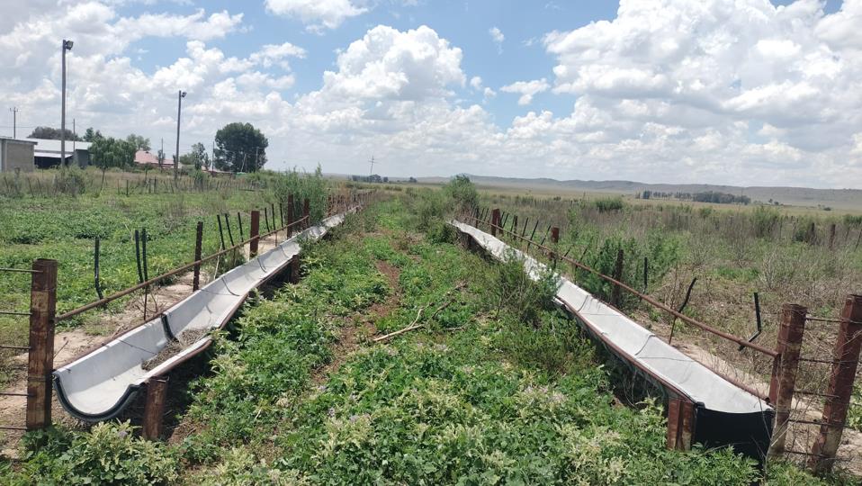 Farm for sale in Dewetsdorp Rural - P24-116007788