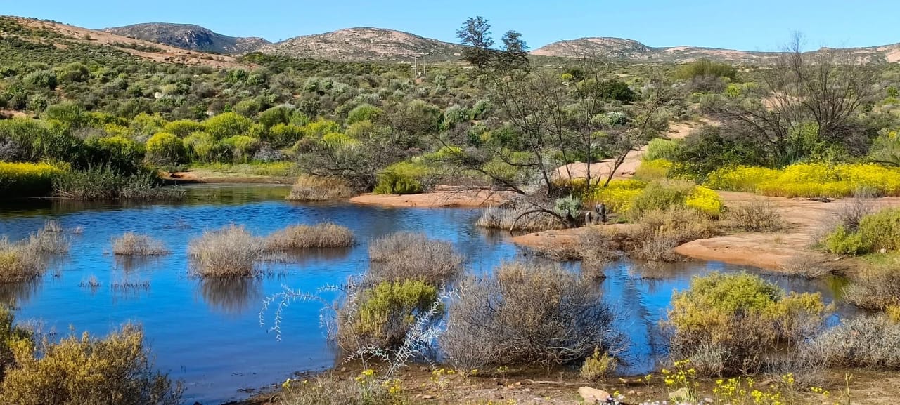 Farm for sale in Springbok Rural - P24-117101888