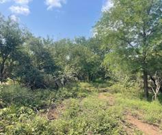 Vacant Land / Plot for sale in Marloth Park