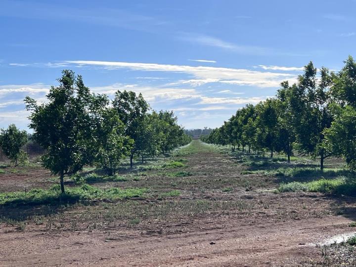 Farm for sale in Jacobsdal Rural - P24-117112744
