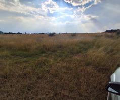 Farm for sale in Nelsonia