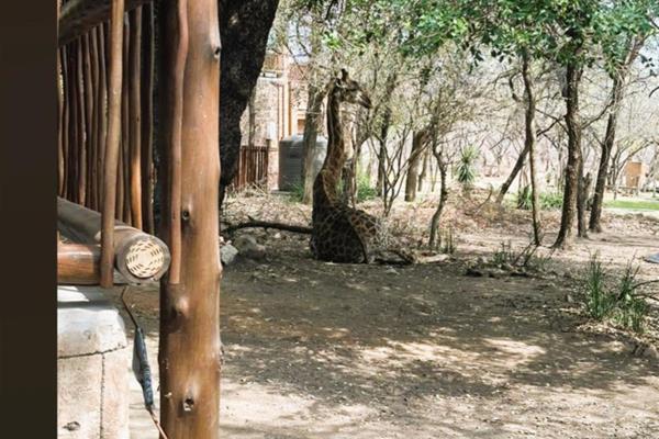 Brought to you by the award-winning Best Residential Real Estate Agency in South Africa for 2024 and 2025; and Best Residential Real ...