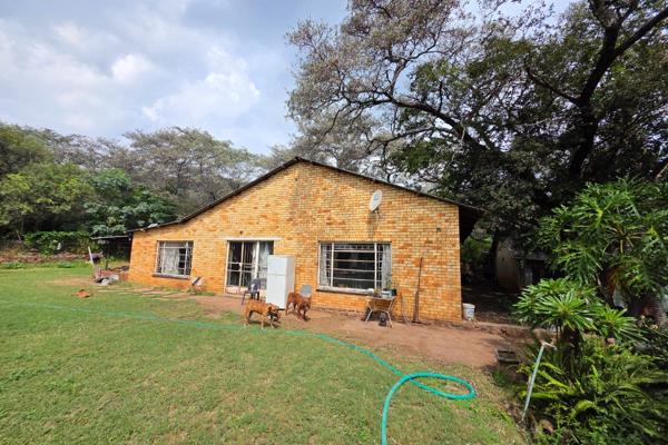 23HA farm land with lots of water
3 old houses in need of TLC
Greatest value is the location which is right next to the Moloto ...