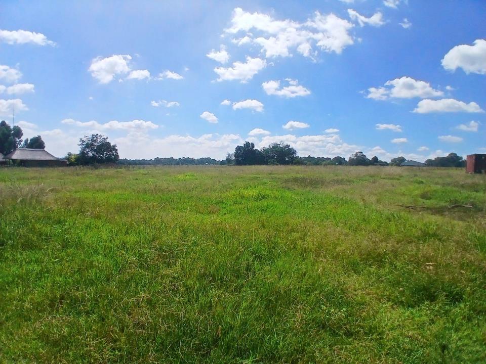 Vacant land / plot for sale in Vlakfontein - 184 Willow Road - Benoni