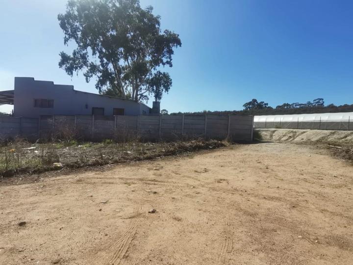 Listing number: P24-117134522, Image number: 3