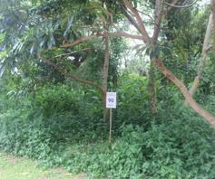 Vacant Land / Plot for sale in Elaleni Coastal Forest Estate