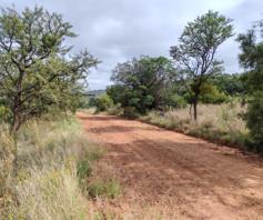 Vacant Land / Plot for sale in Swartruggens