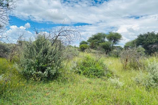 Vacant Land / Plot for Sale in Lion Park