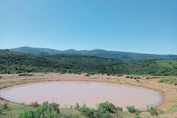 4 Bedroom Farm for Sale in Uitenhage Rural