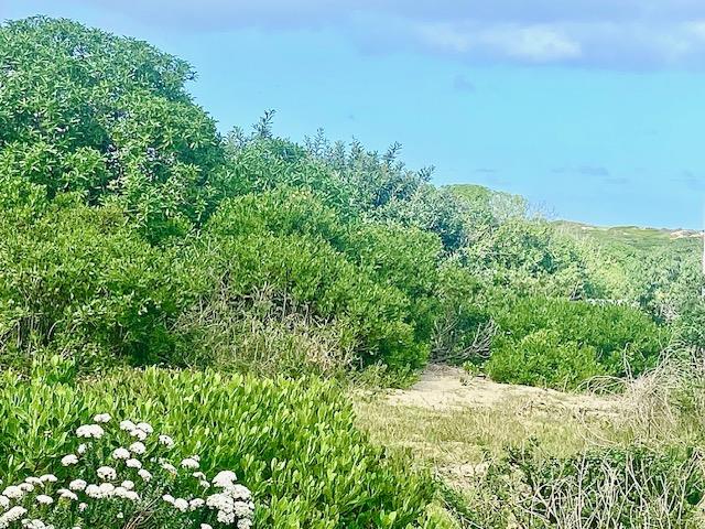 Vacant land / plot for sale in Hermanus Rural - P24-117150147