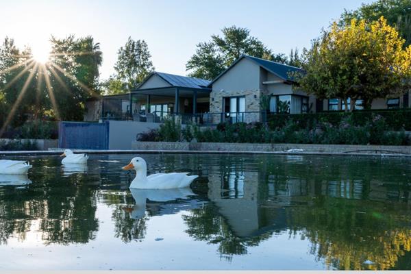 6 Bedroom Farm for Sale in Keidebees