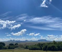 Farm for sale in Van Reenen