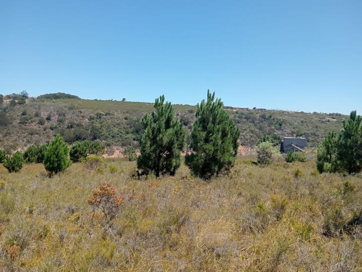 Farm for sale in Humansdorp Rural - P24-117176673