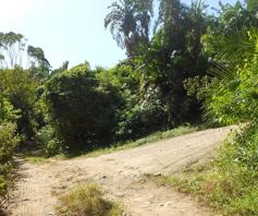 Vacant Land / Plot for sale in Trafalgar