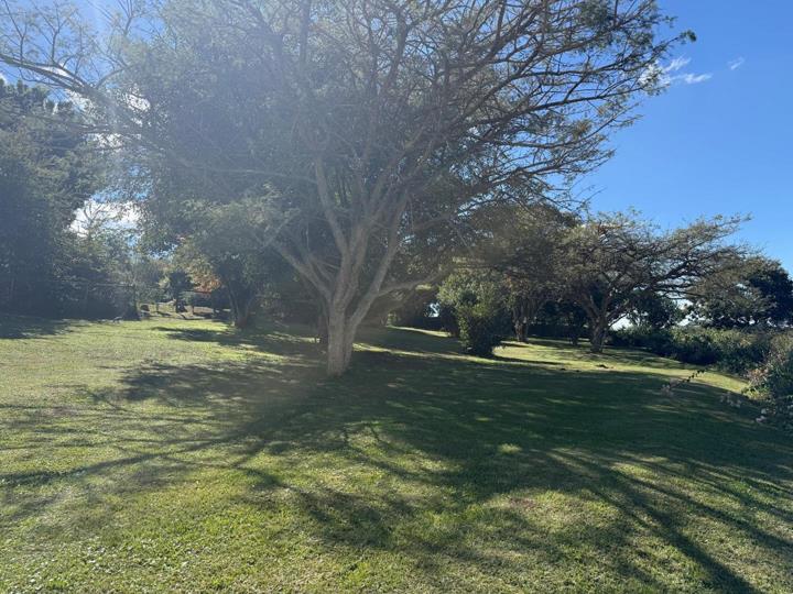 Listing number: P24-117211951, Image number: 3