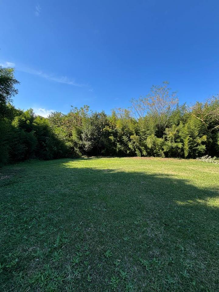 Listing number: P24-117227144, Image number: 1