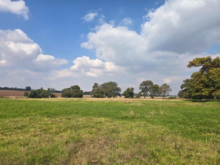 Farm for sale in Tarlton - P24-117233229