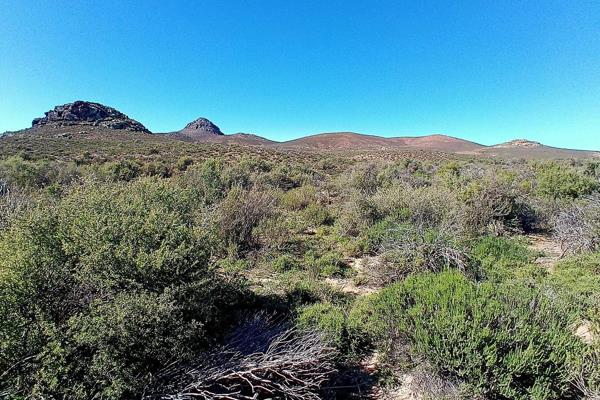 SUTHERLAND
Against the iconic volcanic mountain Salpeterkop, one of the Karoo’s most ...