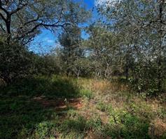 Vacant Land / Plot for sale in Marloth Park